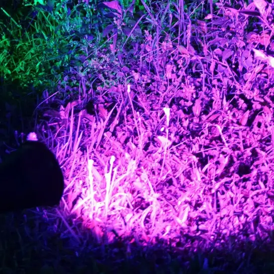 2Pack Solar Power Spot Lights LED Purple Garden Outdoor Path Landscape Wall Lamp {3}