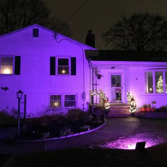 2Pack Solar Power Spot Lights LED Purple Garden Outdoor Path Landscape Wall Lamp {4}