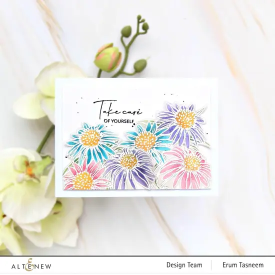 Paint-A-Flower: White Swan Echinacea Outline Stamp Set {2}