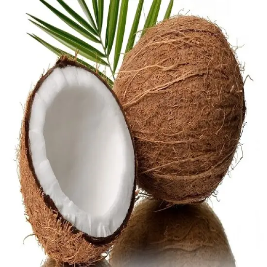 Coconut Fragrance Oil (Our Version of the Brand Name) (32 oz Bottle) for Candle Making, Soap Making, Tart Making, Room Sprays, Lotions, Car Fresheners, Slime, Bath Bombs, Warmers&hellip; {2}
