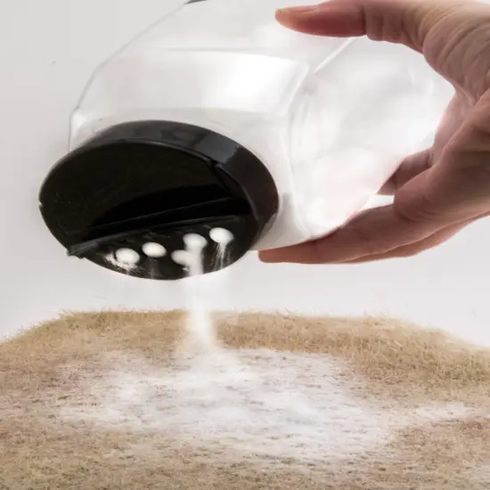 Woodland Scenics Soft Flake Snow {2}