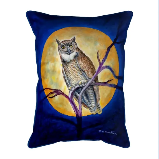 Betsy Drake Owl in Moon 20x24 Extra Large Zippered Indoor/Outdoor Pillow Multicolor {1}