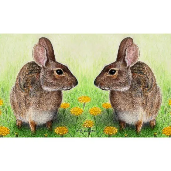 Betsy Drake Rabbits 30 X 50 Inch Comfort Floor Mat {1}