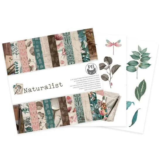 P13 Double-Sided Paper Pad 6"X6" 24/Pkg-Naturalist {3}