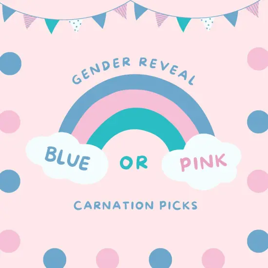 100-Pack: Gender Reveal Silk Carnation Picks, 5" Stems, 3.5" Wide, Floral Home by Artificial Flowers Pink {7}
