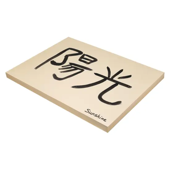 Heavyweight Tagboard, Manila, 18" x 24", 100 Sheets {2}