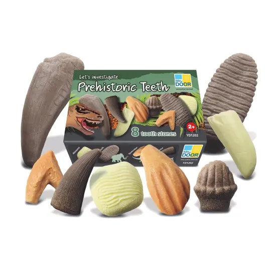 Let's Investigate &ndash; Prehistoric Teeth, Set of 8 {1}