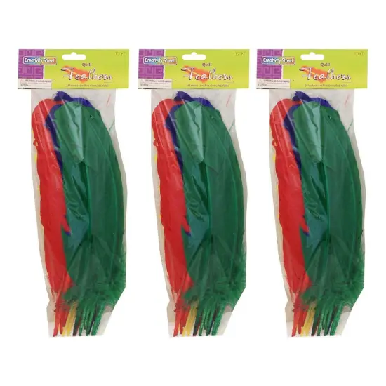 Quill Feathers, Assorted Colors, 12", 24 Per Pack, 3 Packs {1}