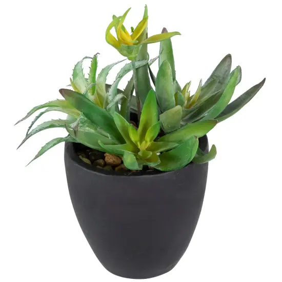 Northlight Potted Green Artificial Mixed Succulent Plant Arrangement - 11" {4}