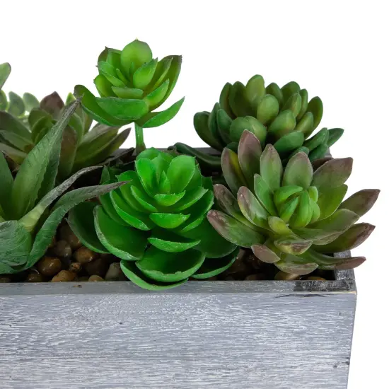 Northlight Artificial Mixed Succulent Plants in a Rectangular Planter - 12" Green {5}