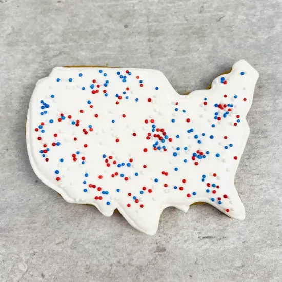 Ann Clark USA Map Cookie Cutter 4" {4}