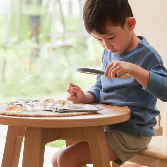 Kaplan Early Learning Company Specimen Stones: Sea Creatures - 9 Pieces {3}