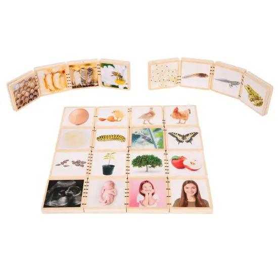 Wooden Lifecycle Tiles {2}