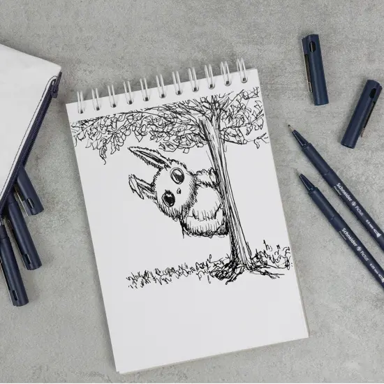 Pictus Fineliners, Wallet, 8 Pieces, Black Ink, Assorted Sizes {3}