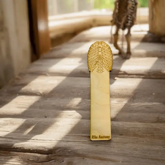 Bookmark - Ribs Anatomy - Birch wood {5}