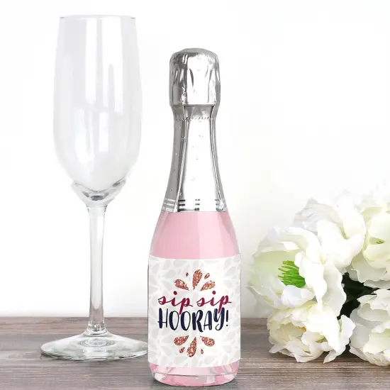 Big Dot of Happiness But First, Wine - Mini Wine and Champagne Bottle Label Stickers - Wine Tasting Party Favor Gift for Women and Men - Set of 16 {3}