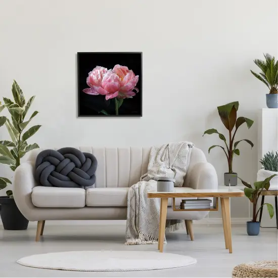 Stupell Industries Blooming Rose on Black Framed Giclee Art {2}
