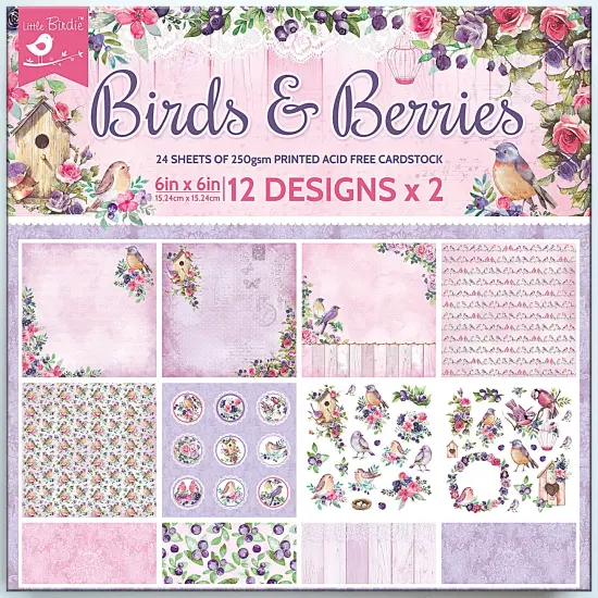 Little Birdie Cardstock Pack 6"X6" 12/Pkg-Birds And Berries {1}