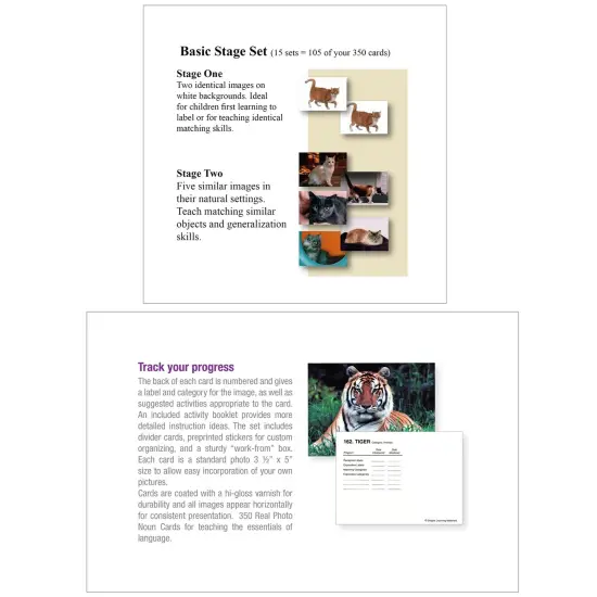 Language Builder&reg; Picture Nouns Card Set 1, Pack of 350 {4}