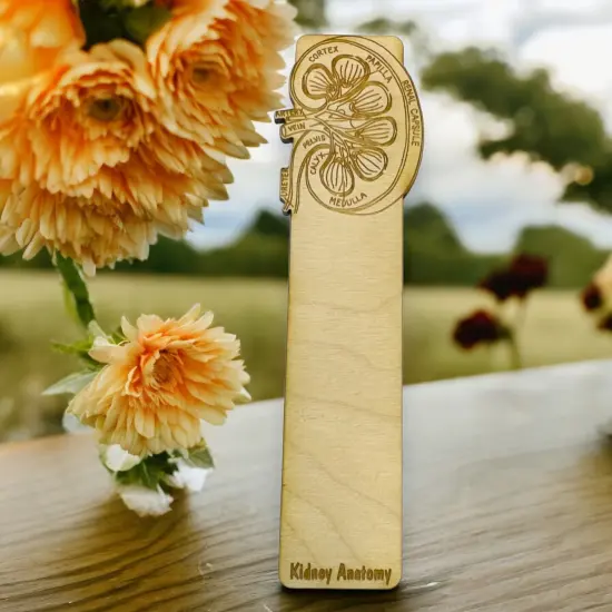 Bookmark - Kidney Anatomy - Birch wood {2}