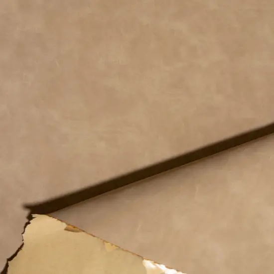 Kitcheniva Suede Vinyl Fabric Faux Leather Self Adhesive 52" Caramel {1}