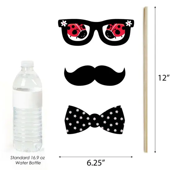 Big Dot of Happiness Happy Little Ladybug - Baby Shower or Birthday Party Photo Booth Props Kit - 20 Count {6}