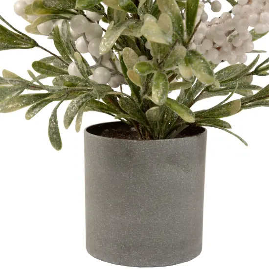 Northlight 2' Potted White Berry and Frosted Pine Christmas Tree, Unlit Green {4}