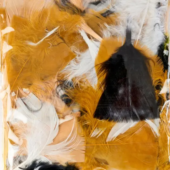 Turkey Feathers, Natural Colors, 14 Grams Per Pack, 12 Packs {2}