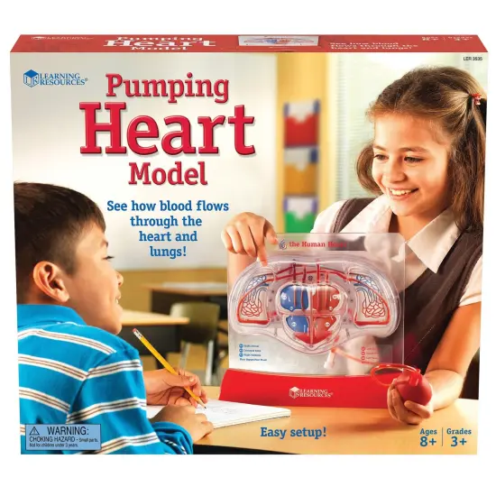 Pumping Heart Model {1}