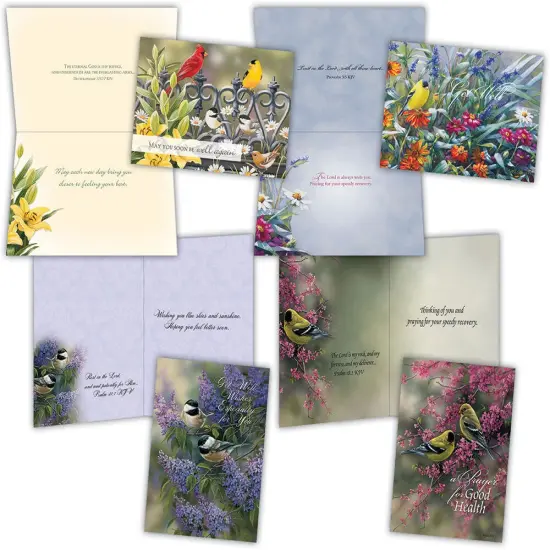 GET WELL III - Assorted Get Well Cards, Box of 12 {1}