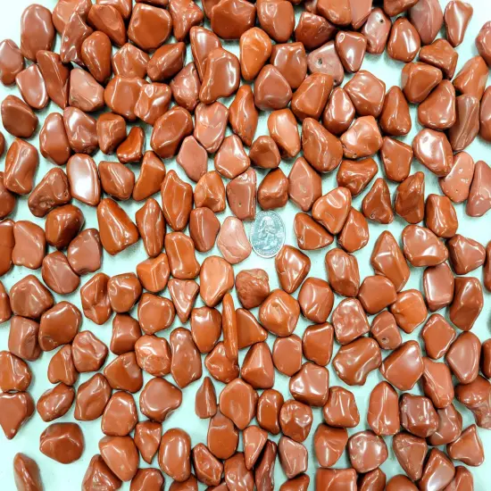 Tumbled Red Jasper Crystals - Size SMALL 1/2 inch to 1 inch {3}