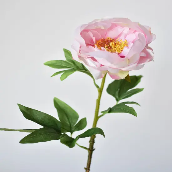 22" Faux Pink Peony Stem {3}
