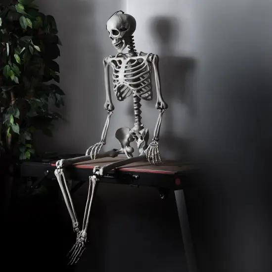 Costway 5.4ft Halloween Skeleton Life Size Realistic Full Body Hanging w/ Movable Joints {5}