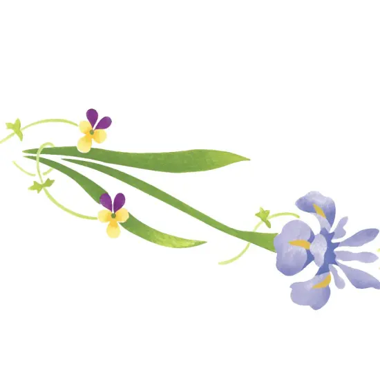 Iris Flower Wall Stencil | 2799 by Designer Stencils | Floral Stencils | Reusable Art Craft Stencils for Painting on Walls, Canvas, Wood | Reusable Plastic Paint Stencil for Home Makeover | Easy to Use & Clean Art Stencil {2}