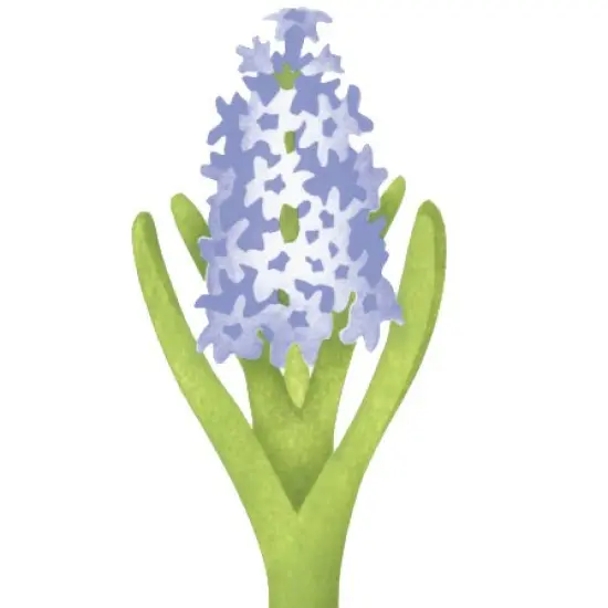 Hyacinth Flower Wall Stencil | 3215 by Designer Stencils | Floral Stencils | Reusable Art Craft Stencils for Painting on Walls, Canvas, Wood | Reusable Plastic Paint Stencil for Home Makeover | Easy to Use & Clean Art Stencil {2}