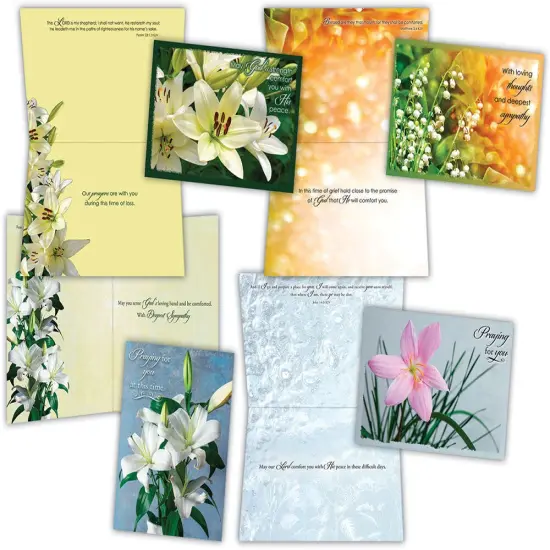 Sympathy - Lilies - Assorted Sympathy Cards {1}