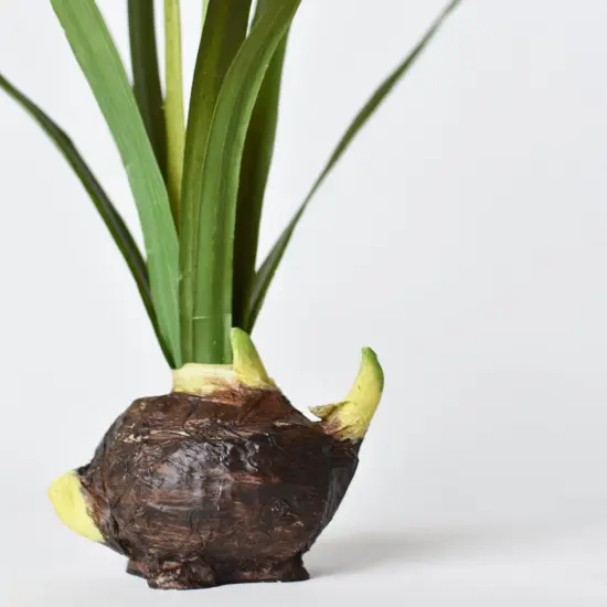 17.5" Faux Paperwhites w/ Bulb {2}