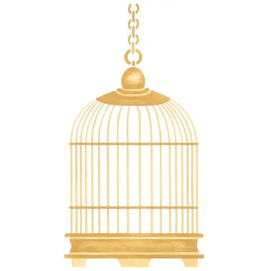 Birdcage Wall Stencil | 331 by Designer Stencils | Pattern Stencils | Reusable Stencils for Painting | Safe & Reusable Template for Wall Decor | Try This Stencil Instead of a Wallpaper | Easy to Use & Clean Art Stencil Pattern {1}