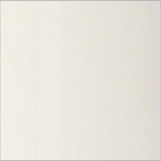 Jacquard Neopaque Acrylic Paint 8oz {1}