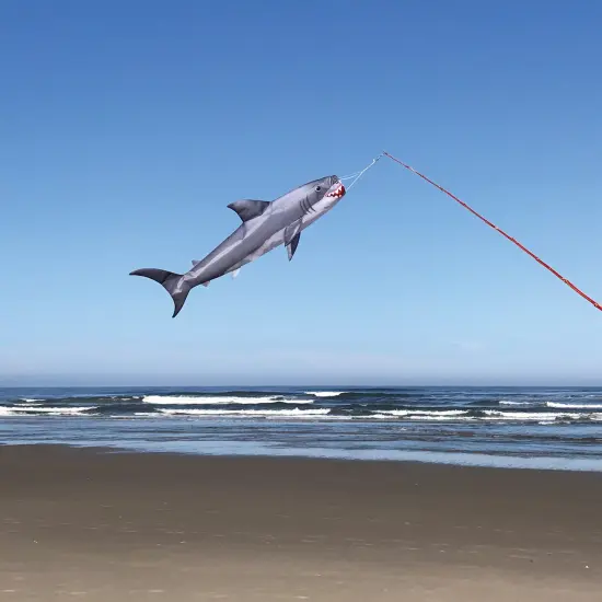 In the Breeze 5154 - Baby Shark 30" Fish Windsock - Realistic Shark Fishsock {2}