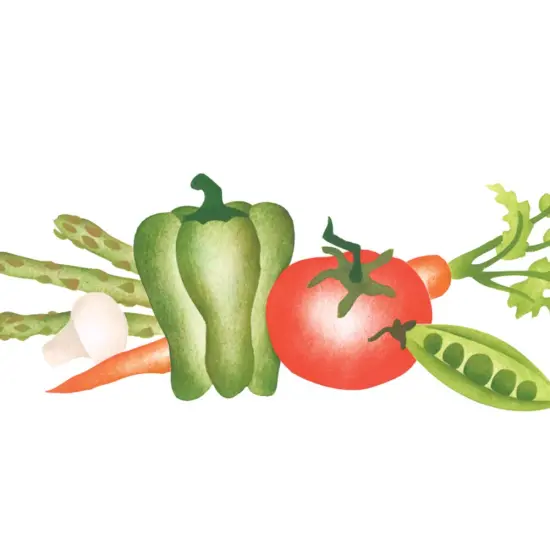 Vegetable Group Wall Stencil | 3270 by Designer Stencils | Reusable Art Craft Stencils for Painting on Walls, Canvas, Wood | {2}