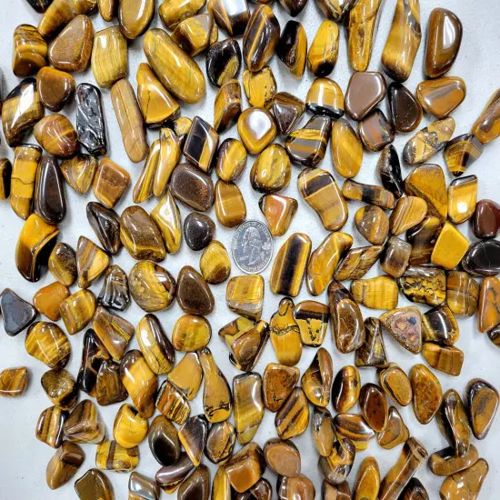 Bulk Tumbled Golden Tiger's Eye Crystals - Size Small 1/2 inch to 1.5 inches {5}