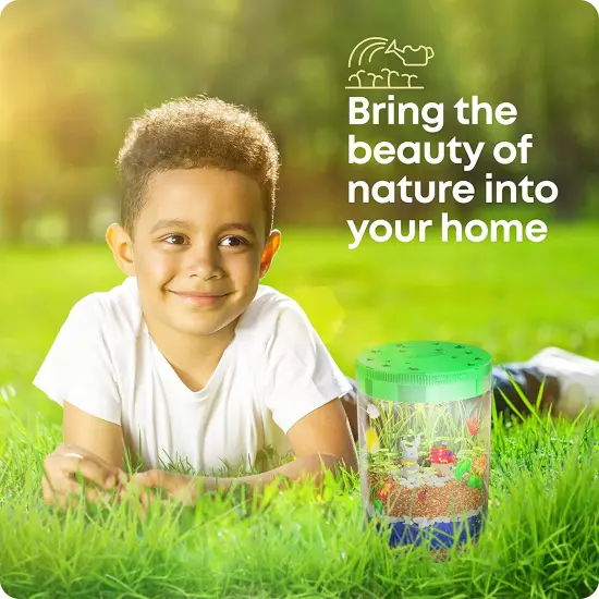 Light-Up Terrarium Kit for Kids - STEM Activities Science Kits - Gifts for Kids - Educational Kids Christmas Toys for Boys & Girls {2}