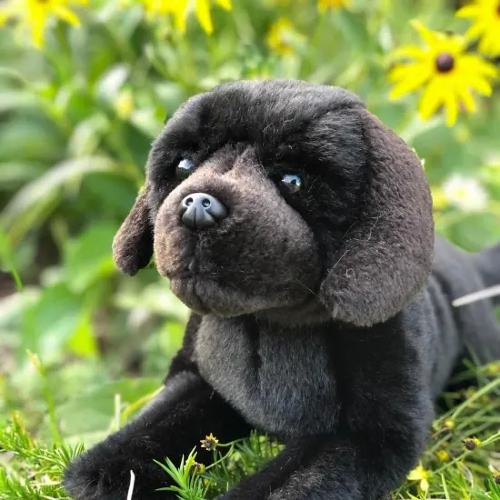 Floppy and Lovable: Meet Our Black Labrador Retriever Plush Toy {1}