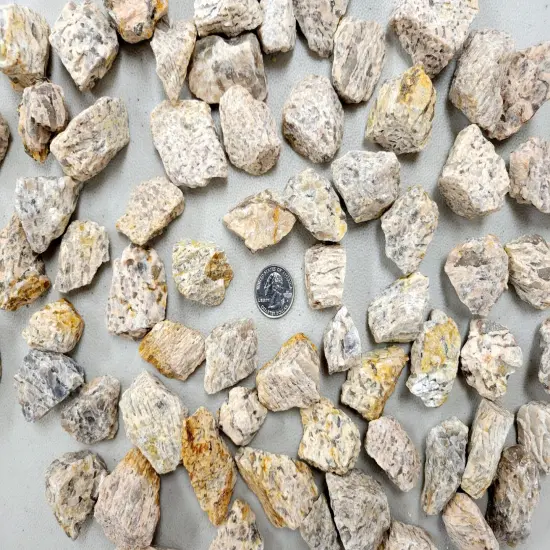 Rough Zebradorite Stones - Bulk Raw Crystals {3}