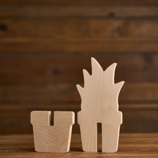 Slotted Succulents - Set of 3 {2}