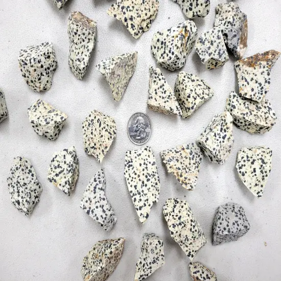 Rough Dalmatian Jasper Stones - Bulk Raw Crystals {3}