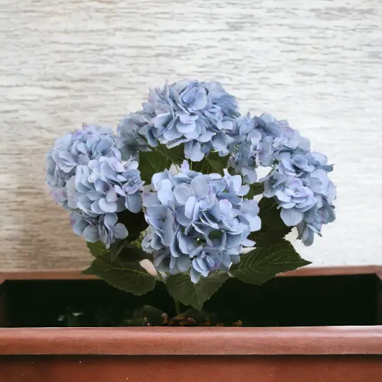 6-Pack: Blue Hydrangea Bush with 7 Silk Flowers & Leaves by Floral Home Artificial Flowers {5}