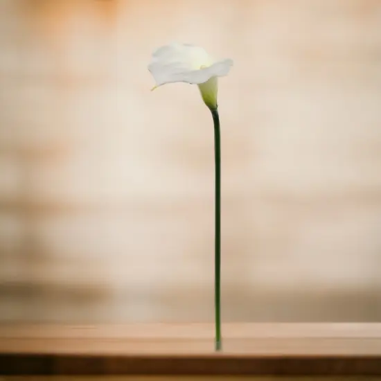 48-Pack: Real Touch Cream Calla Lily Stem by Floral Home&reg; {2}