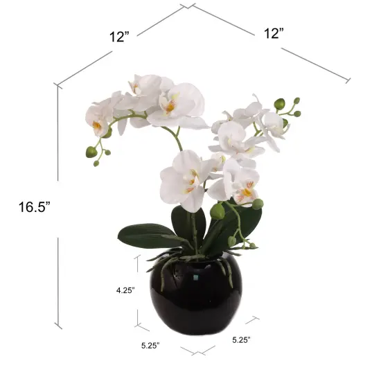 13-Inch Phalaenopsis Orchid Arrangement - Elegant Silk Floral Accent for Home & Office Decor, Floral Home by Artificial Flowers {2}
